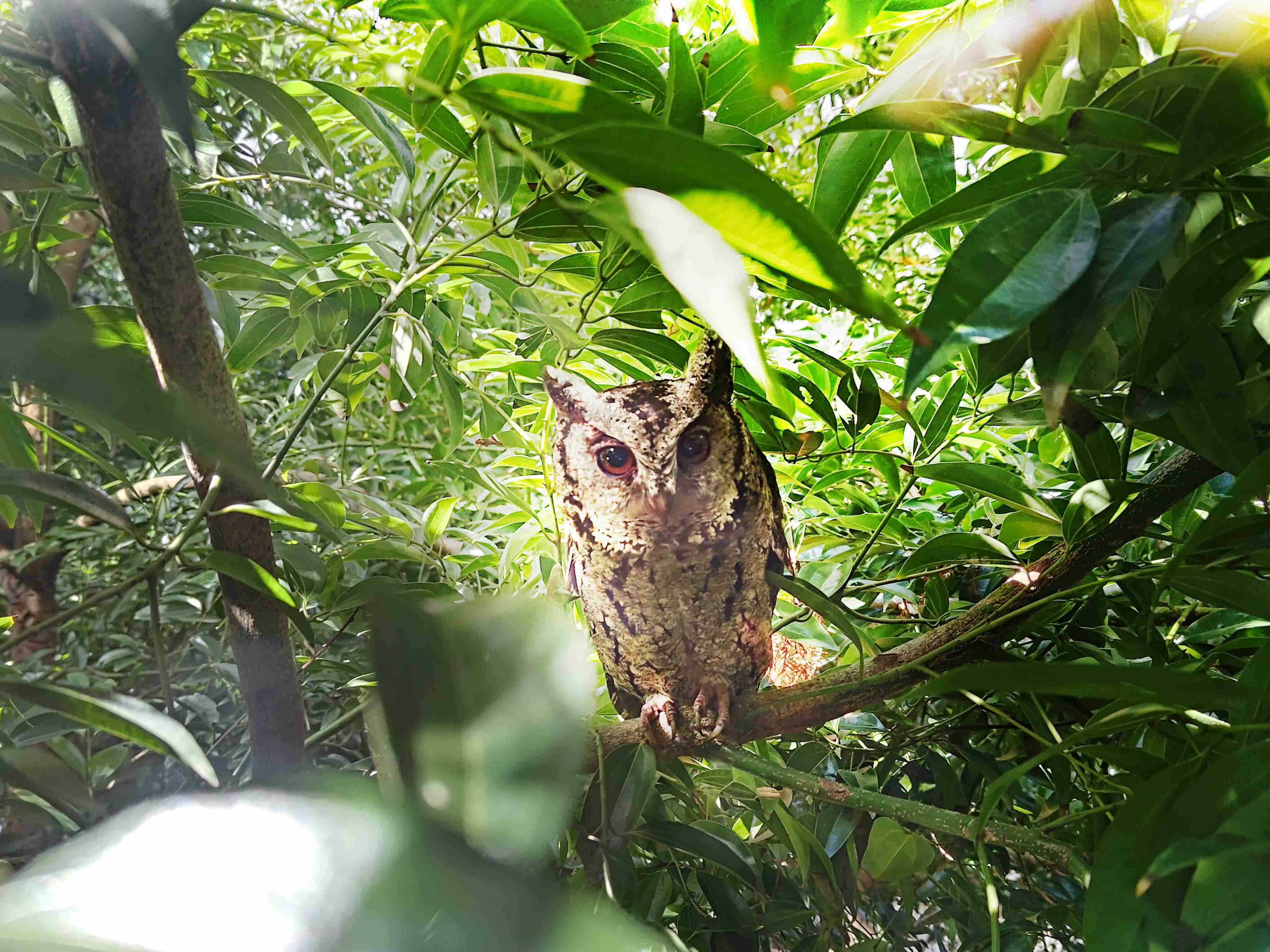 Wepay致力提倡净零绿生活，，16年以来在全球各厂区植树逾百万棵，，，，造就各厂区树木蔚然成林，，，犹如森林工厂，，成为许多生物的栖息地